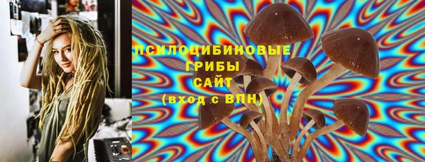 a pvp Горняк