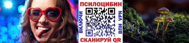 Галлюциногенные грибы Cubensis  Купить закладки  Мамоново 